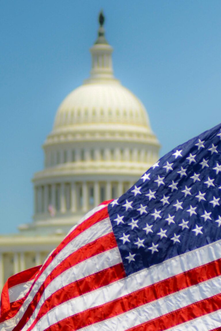 Flag - Affordable Energy Project
